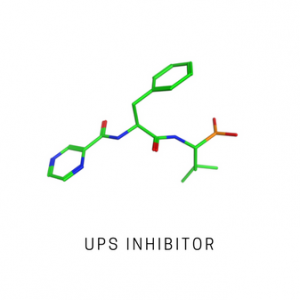 UPS Inhibitor