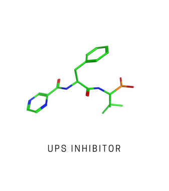 UPS Inhibitor
