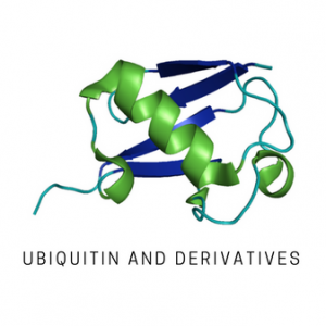 SI0102-5µg (panel) Linear (Ub2) di-ubiquitin