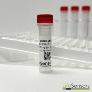 AB102: Anti-UCH-L5 Antibody