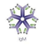 IgM antibody diagram part of LifeSensor's COVID-19 antibody kit