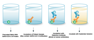 Samples with COVID protein and antibody