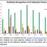 Ubiquitin Antibody Comparison Chart