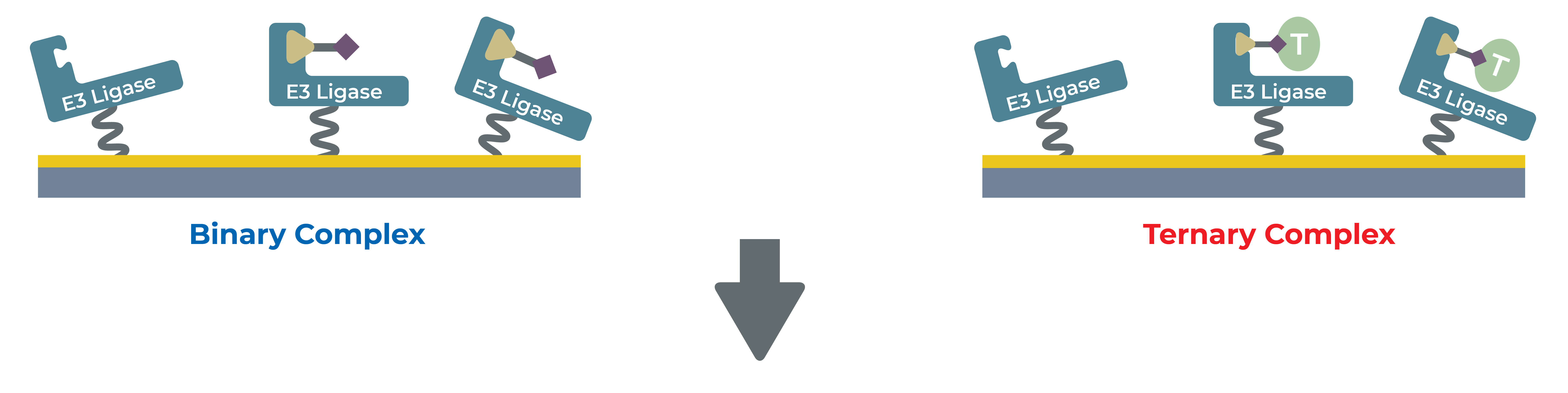 Optimizing Drug Discovery: Surface Plasmon Resonance Techniques