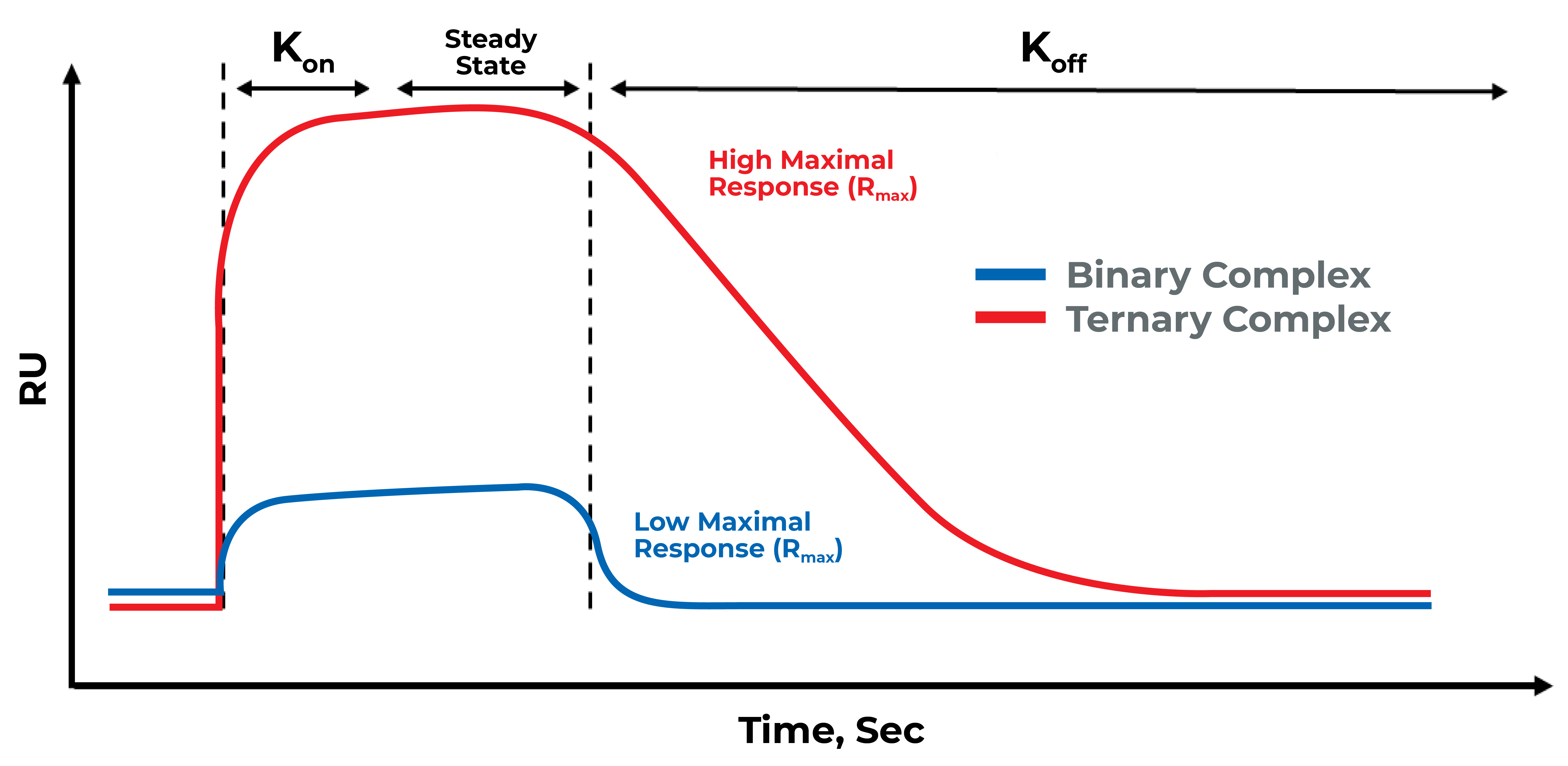 Optimizing Drug Discovery: Surface Plasmon Resonance Techniques