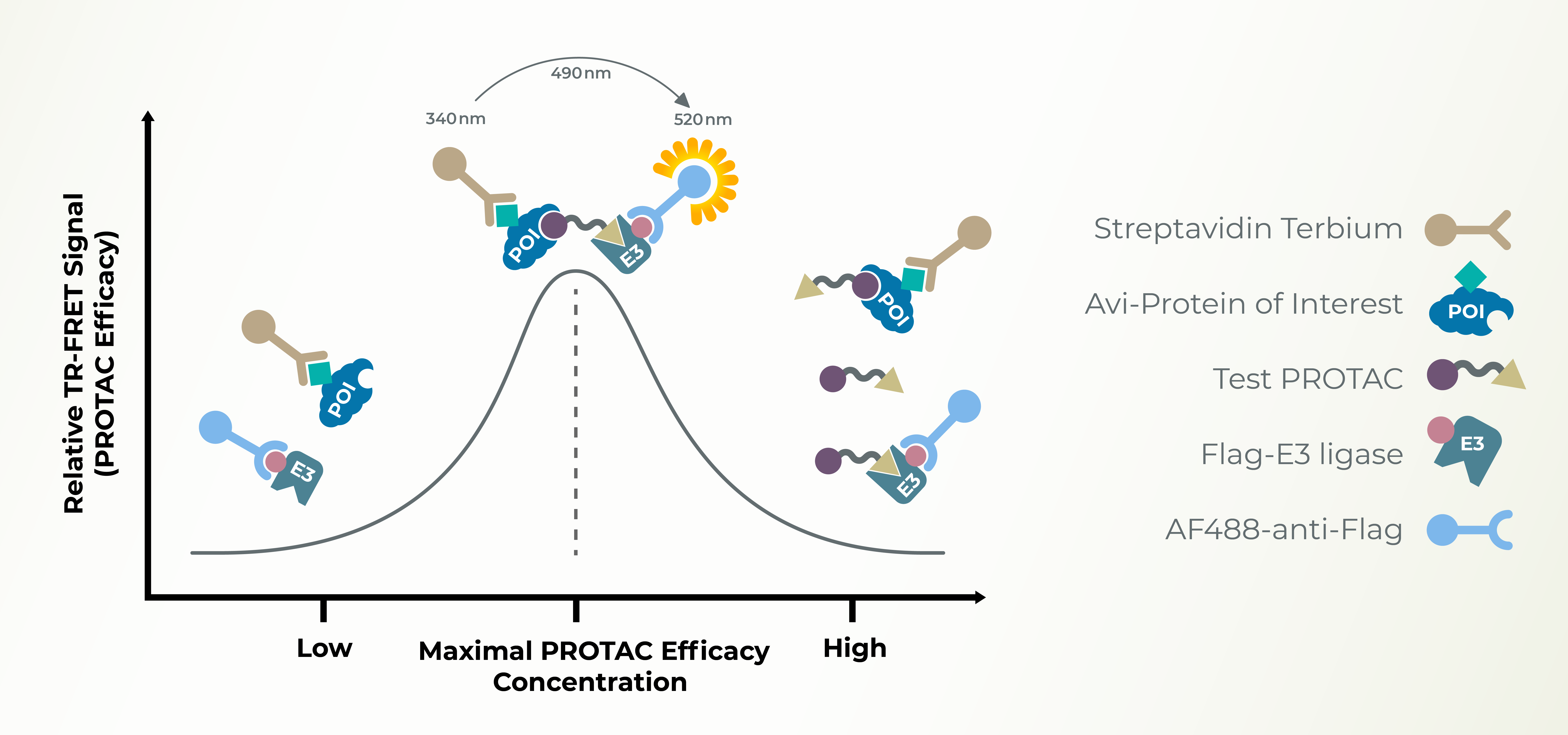 protac-ternary-complex-assays-lifesensors