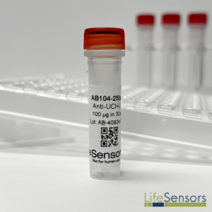 AB104: Anti-UCH-L1 Antibody