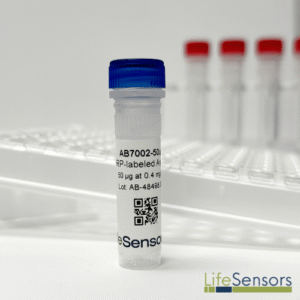 AB7002H: HRP-labeled Anti-SUMO/SUMOstar Antibody