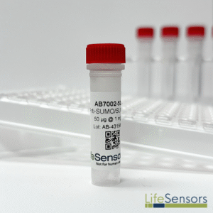 AB7002: Anti-SUMO/SUMOstar Antibody