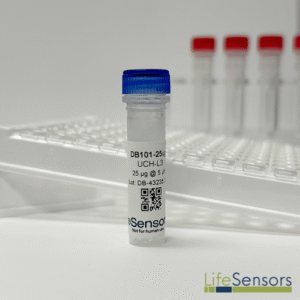 DB101: UCH-L3