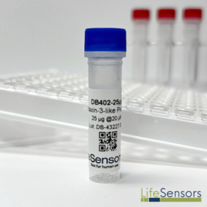 DB402: Ataxin-3-like Protein
