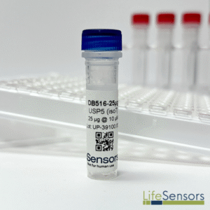 DB516: USP5 (isoT)