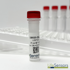 DB520: USP20