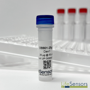 DB801: Den1, SENP8