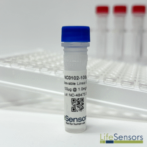 NC0102: Non-Cleavable Linear Di-Ubiquitin