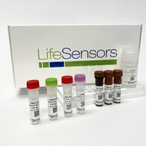 PA480: K48 Ubiquitin Linkage ELISA Kit (Chain Selective)