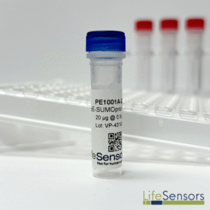 pE1001A: pE-SUMOpro Amp Vector