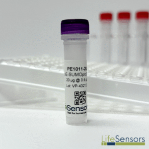 pE1011: pE-SUMOpro3 Kan Vector