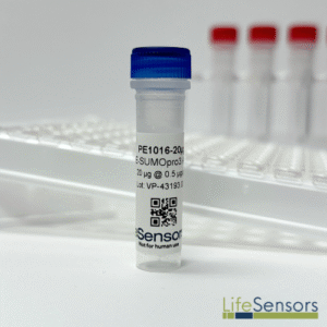 pE1016: pE-SUMOpro3 Amp Vector