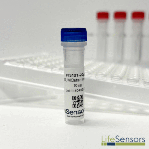 PI3101: pI-SUMOstar Insect (BEVS) Intracellular Vector