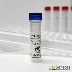 PP2151: pP-secSUMOpro3 Vector