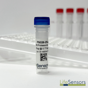 PS026: 26S Proteasome