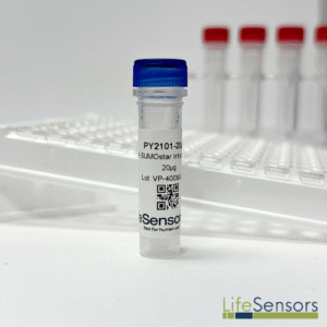 PY2101: pY-SUMOstar Saccharomyces Intracellular Vector