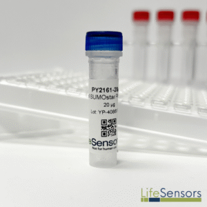 PY2161: pY-SUMOstar Pichia Secretory Vector