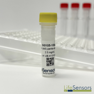 SI0105: Linear Penta-Ubiquitin