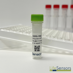 SI203: Ubiquitin-K11