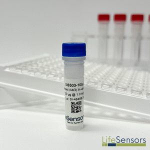 SI6303: K63-Linked Tri-Ubiquitin