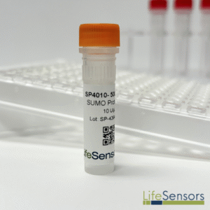 SP4010: SUMO Protease 1