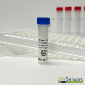 SP5000: SUMO Protease 1 Control Protein