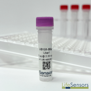 UB101: UBE1