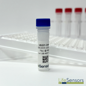 UB201: UBE2D3 (UbcH5c)