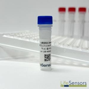 UB202: UBE2L3 (UbcH7, E2-F1)