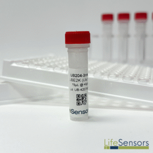 UB204: UBE2K (UbcH1)