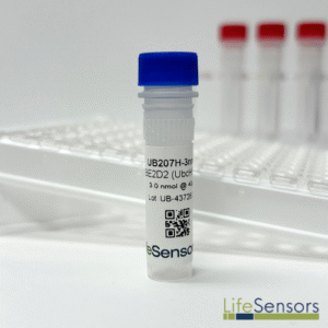 UB207H: UBE2D2 (UbcH5b, E2-17K2)