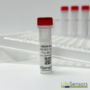 UB209: UBE2R2 (Ubc3B)