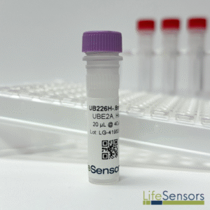 UB226H: UBE2A, His6