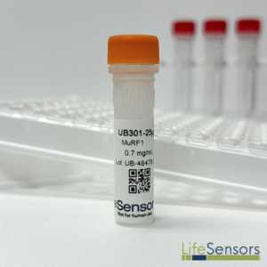 UB301: MuRF1