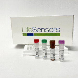 UC101: E3LITE Customizable Ubiquitin Ligase Kit