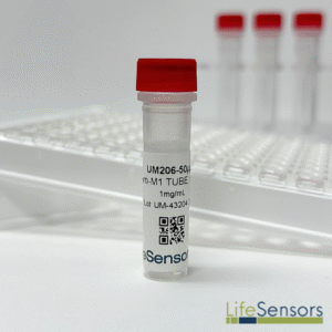 UM206: M1 Linear TUBE (His6)